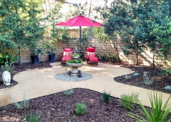 Backyard improvements | The Fournier Experience
